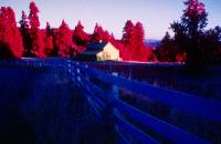 Color Infrared -  Woodside Barn 2